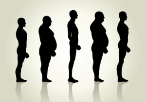 Different body types from endo to mesomorph