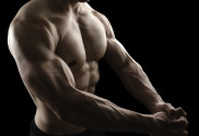 Muscular male body on black background