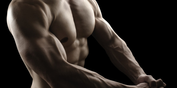 Muscular male body on black background